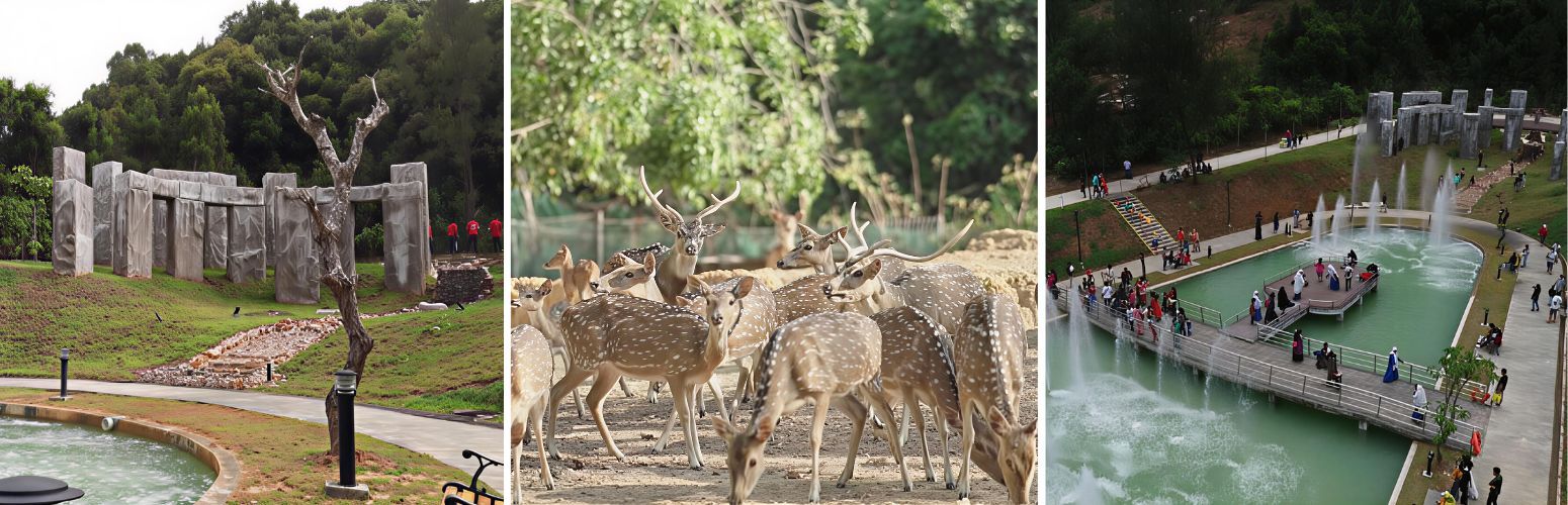 Free-Roaming Deer at Taman Adaftif: Family-Friendly Adventure in Cilacap