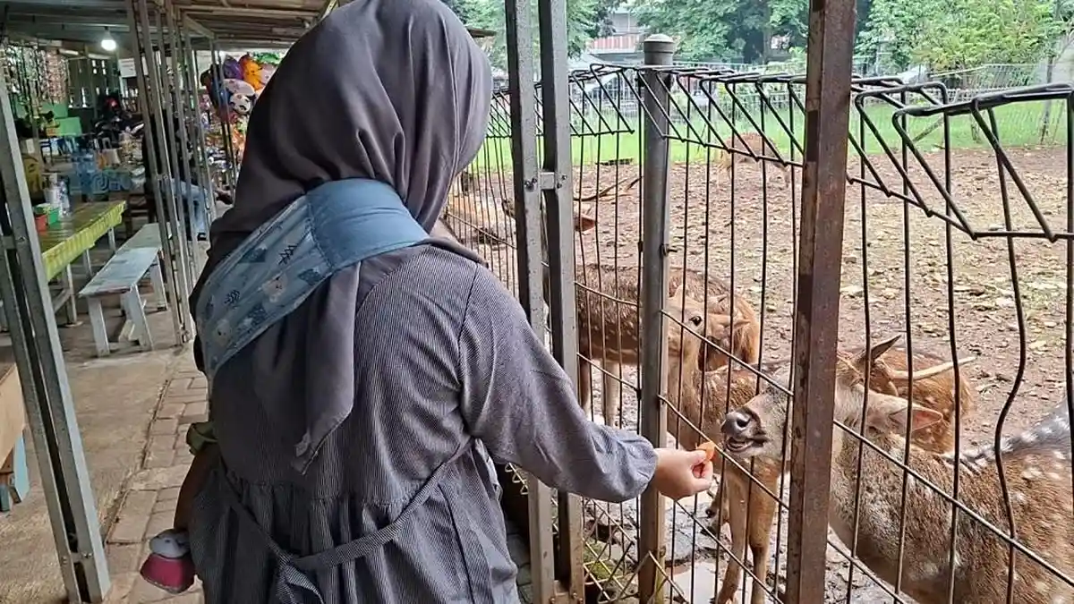 Rusa Bernyanyi di Taman Adaftif: Liburan Keluarga yang Menyentuh Jiwa
