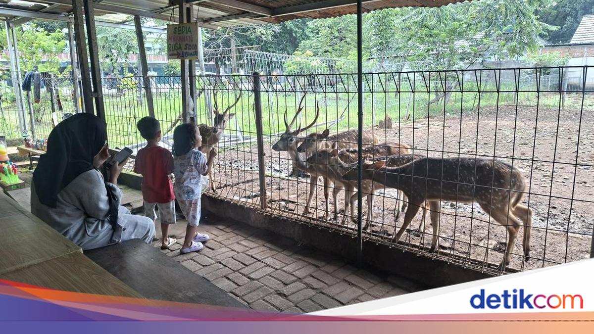 Deer and Garden United: Family Vacation Experience at Taman Adaftif