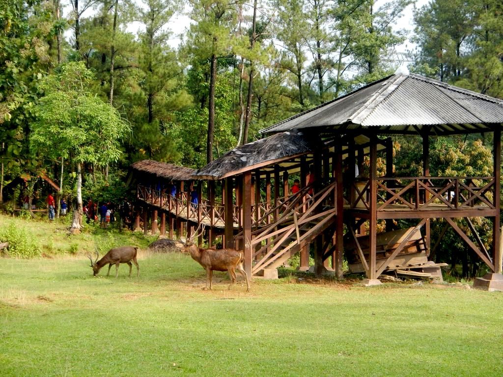 Deer and Garden in Harmony: Family-Friendly Adventure at Taman Adaftif